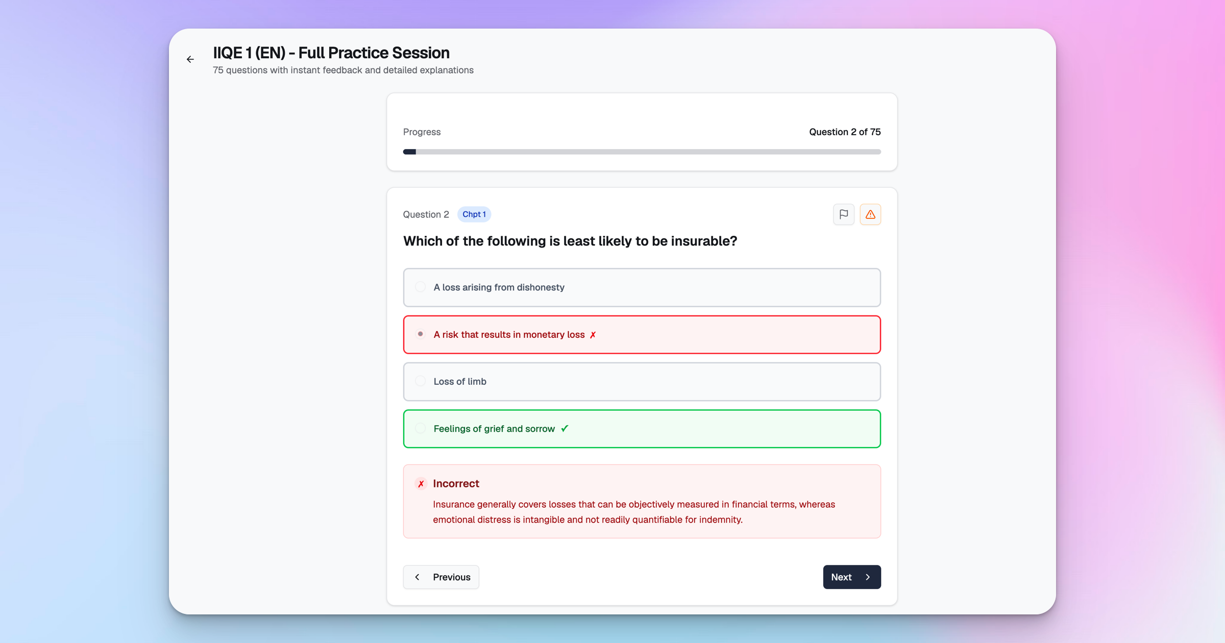 IIQE Paper 1 Instant Feedback and Explanation